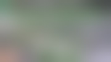 How to make a SCROG Best Way