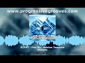 SCRIPT Flex My House Music Ableton Template Remake 11.3.35 12