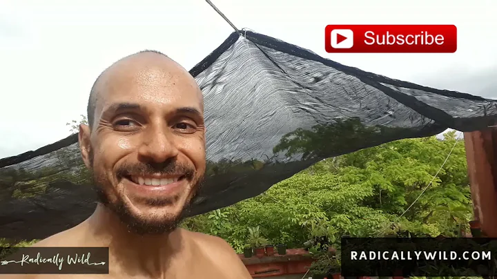 Liquid gold: Using Urine to fertilize plants on my farm in Puerto Rico