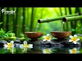 Healing Music For Anxiety Disorders Meditation Music Relax Mind Body Nature Sound Bamboo 