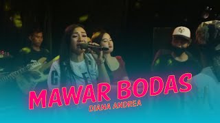 New Permata Diana Andrea Mawar Bodas