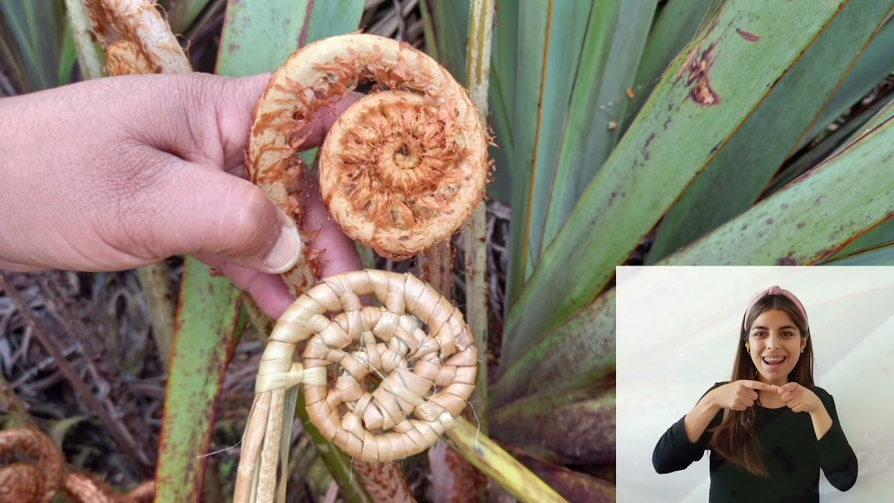 11. Compartiendo saberes ancestrales: Cestería en Manila