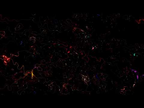🎬 4K Screensaver – Neon Cosmic Particles | Abstract Loop (No Audio)