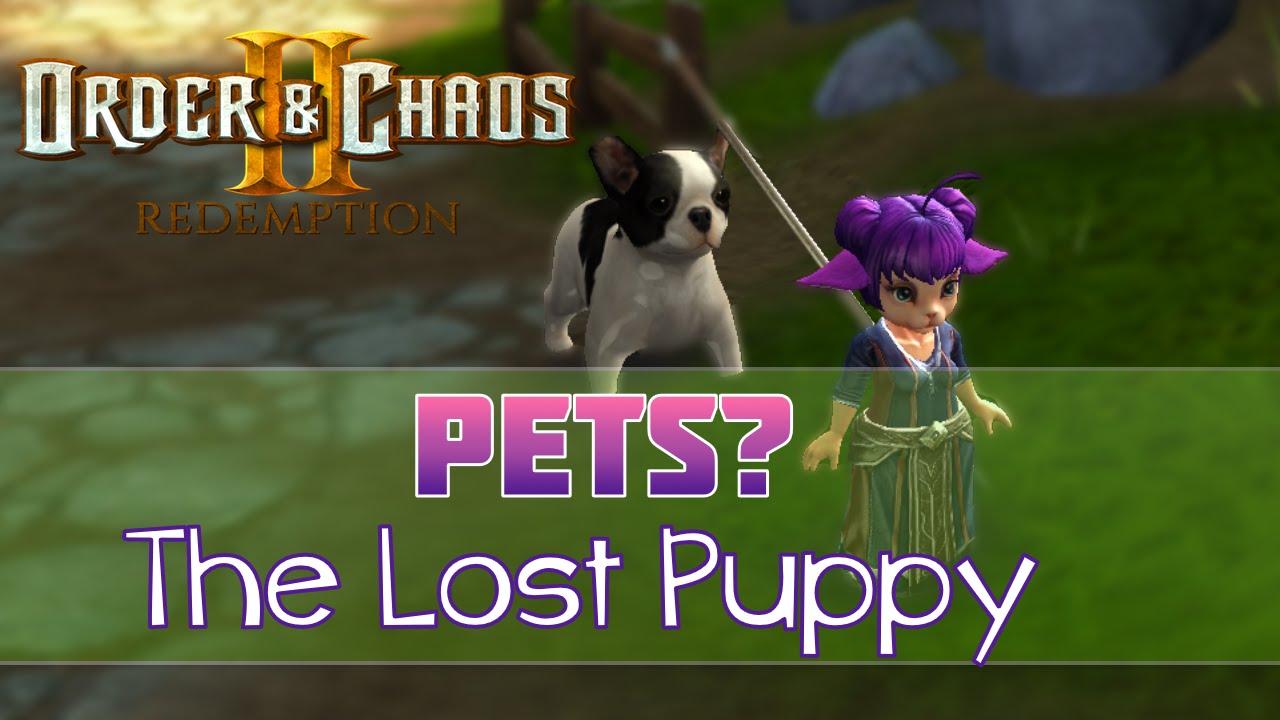 Pets in Order and Chaos 2: Redemption?!
