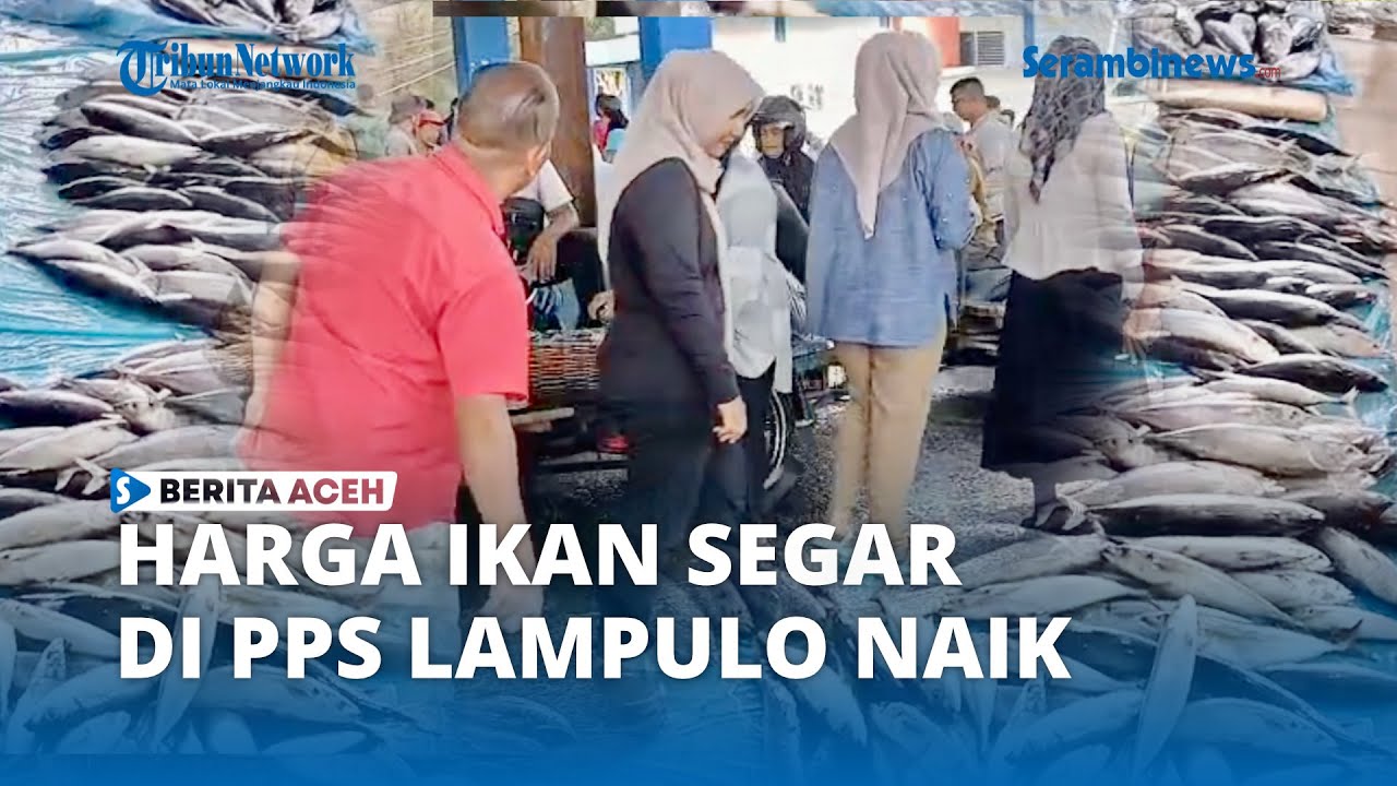 Cuaca Ekstrem Picu Kenaikan Harga Ikan Segar di TPI Lampulo