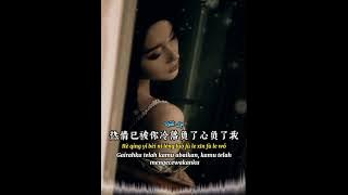 声声说爱我次次伤害我 📀 王娜 [ Sheng Sheng Shuo Ai Wo Ci Ci Shang Hai Wo ] Wang Na