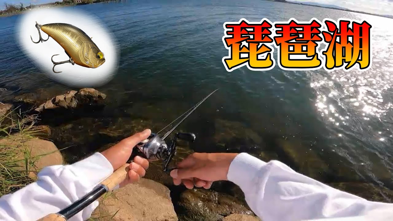 琵琶湖バス釣り 秋の琵琶湖を巻きまくって満喫した Youtube