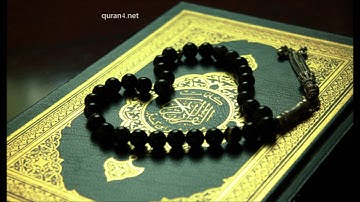 تلاوة ودعاء صلاة التراويح- الليلة الثامنة من رمضان لفضيلة الشيخ أحمد المزوّق