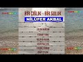 NİLÜFER AKBAL  - HASRETİM SANA ( Bir Çığlık Bir Soluk)