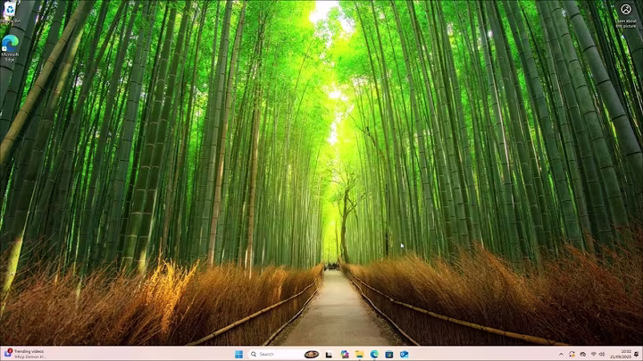 Installing/Setting up Windows 11 25H2 With a Local Account