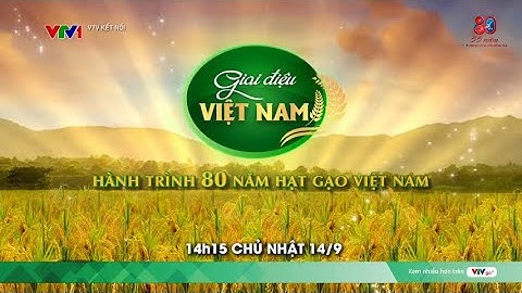 Hành trình 80 năm hạt gạo Việt Nam  | VTV