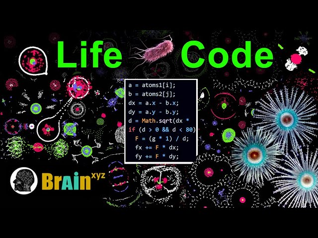 Create Artificial Life From Simple Rules - Particle Life #simulation  #programming #javascript class=