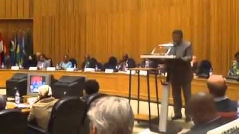 Chairperson of the African Union Commission, Mr. Jean Ping launches the Pan African University