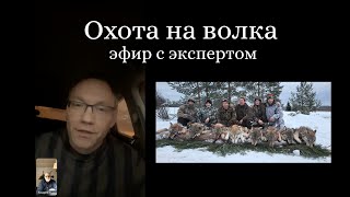 Все про охоту на волка. Разговор с волчатником Виталием Бачура