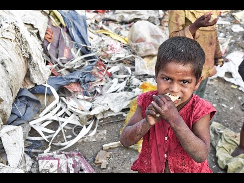 Противоположности. Мир в состоянии помочь всем голодающим — глава ВПП ООН