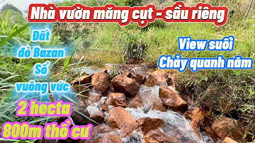Nhà vườn Măng Cụt, Sầu Riêng. 2 hecta, 800m thổ cư, 100m mt. View suối chảy quanh năm. Giá: 135tr/s