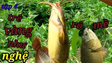tập 4. Câu Cá Rô Mề,Cá Trê Vàng Víp, Ngoài Sông Lớn l Dân Quê 66.