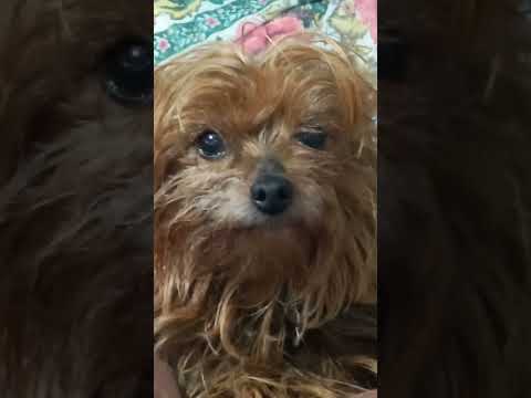 kiko e Pokaoontas