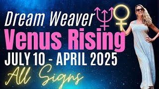 Turn Your Desires Into Reality: Venus Evening Star Rising 🔆  All Zodiac Signs