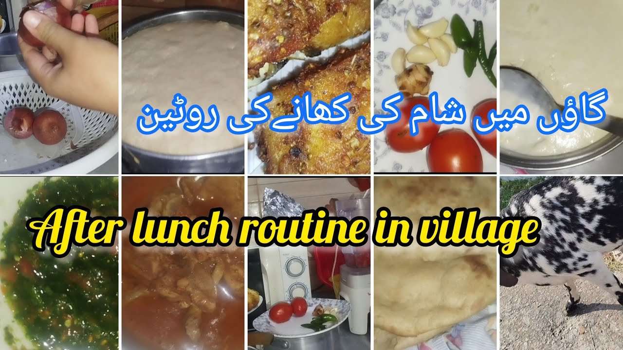 After Lunch Routine My after lunch routine in a village 😌 fast routine 🤕 Duha's life ...