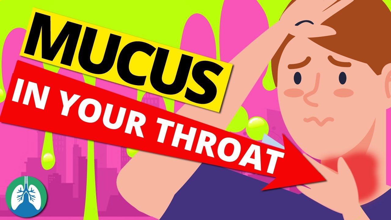 Causes Of Constant Phlegm And Mucus In Your Throat Clearing Congestion