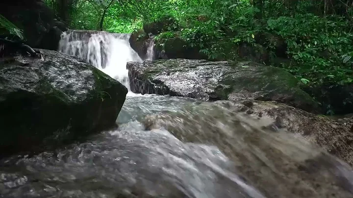 Beautiful Mountain River Flowing Sound, Forest River, ASMR - DayDayNews