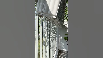 Chiếc ban công nhỏ trồng cúc tần Ấn Độ | Căn hộ vui vẻ