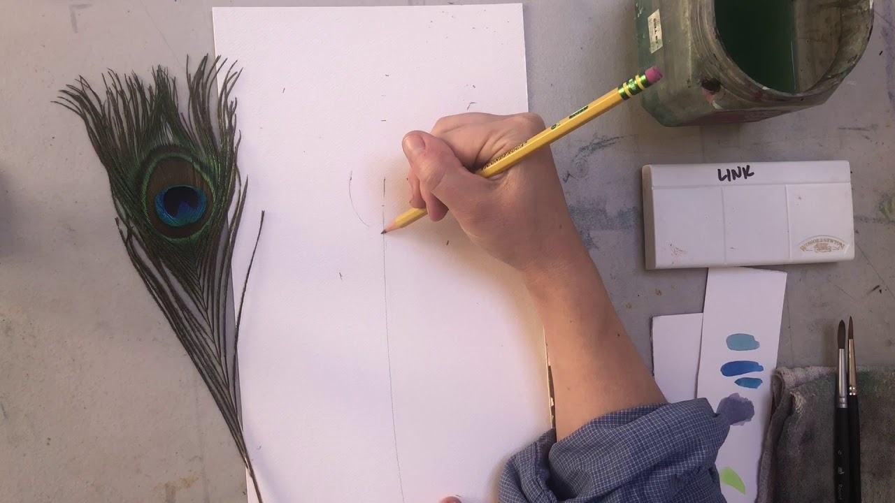 Peacock feather Tutorial - Coloured pencils - STEP BY STEP ART