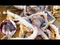 【English sub】小章天气回暖来赶海，发现沙滩上海鲜集体晒太阳，抓爽了