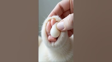 #0707  don’t blink  #pimplepopping #satisfying #mochipimplepopping #pimples