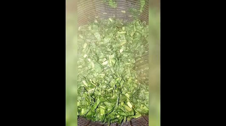هندباء أكلة فلسطينية من التراث حتى الآن من اطيب الخضروات يا عيني شو بتشهي الوصفة اول تعليق #لايك#فلو