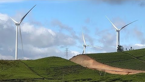 Review quạt điện gió Cầu Đất Đà Lạt p2