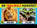 HAYVAN Bilgin Ne Kadar İyi? ????✅ ????????60 Soruluk Hayvan Bilgi Testi????