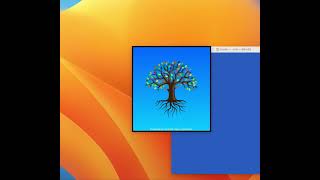 Spot-On Encryption Suite Messenger: Spash Screen at startup for the Wizard to create Encryption Keys screenshot 5