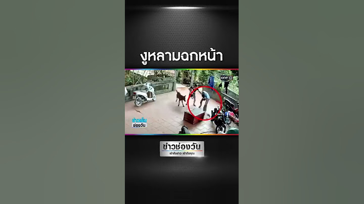 หนุ่มเวียดนามเปิดกล่องไม้ เจองูยักษ์พุ่งฉก #ข่าวช่องวัน