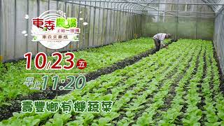 東森農場  花蓮壽豐鄉有機蔬菜箱 