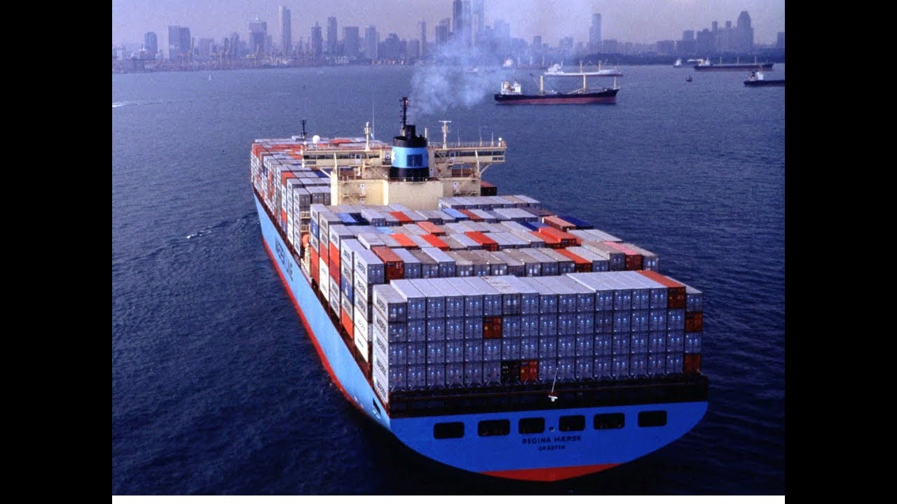 policy genius The state of the world trade system