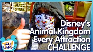 How Long Does it Take to Ride EVERYTHING in Animal Kingdom