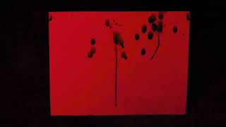 homme - Noisy Lady【MV】