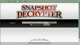 For SSBBers: How 2 open your Brawl snapshots on the computer