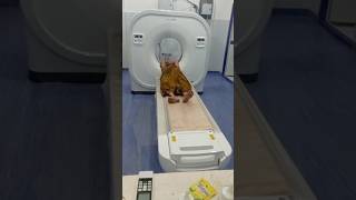 My Girl Friend On Ct Scan