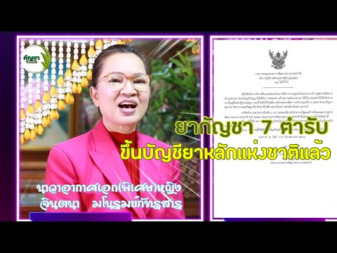 กัญชาเป็นยาหลักแห่งชาติ#กัญชาchannel