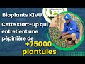 Bioplants kivu  une startup rvolutionnaire  butembo avec plus de plus 75 000 plantules 