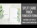 Forever Fern Split Card Technique | Facebook Live Replay