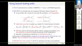 Giovanni Pelliccioli - Polarized Weak Bosons at the LHC