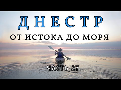 Видео: Животински план Избор на куче порода стена Art