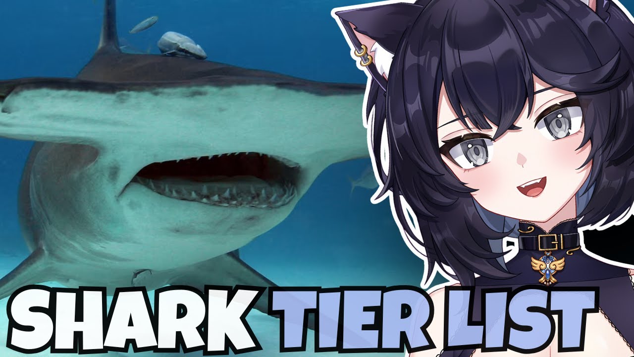 Реакция Сафвина на список «Акулы» (Tier Zoo)