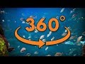 Visit Jamaica's Coral Reef in 360° Virtual Reality