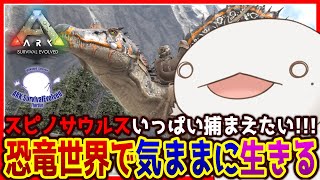 【#ARK】恐竜世界でも気ままに生きる！スピノ乱獲編【新人VTuber/半崎ウイネコ】【ARK Survival Evolved】