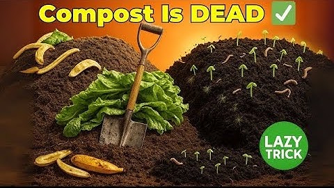 Why I’ll Never Compost Again… This Lazy Soil Trick Works 10X Better!